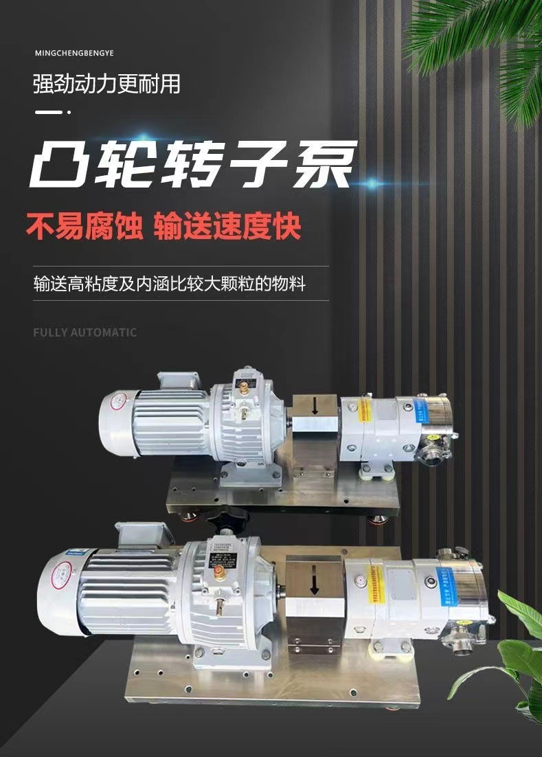 凸轮转子泵整机-1