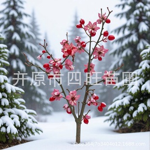 �|���|���ͺ����~�lì ���~�z��ľ���~�lì�� �G�hС�� ���_ҹ��
