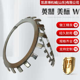 现货批发跨境垫片美标英制-WTW止退垫片太阳片多齿止动片垫片