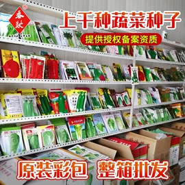 蔬菜种子;科学实验玩具;栽培基质