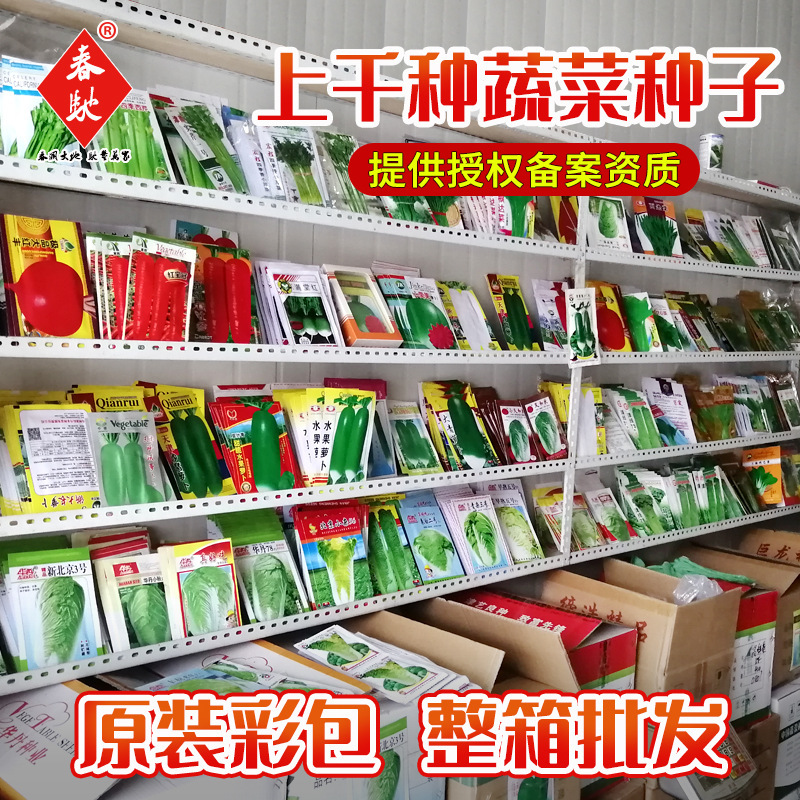 Manufacturer's Wholesale Collection of Four-Season Vegetable Seeds for Home Vegetable Gardens, Balcony Potted Vegetables and Fruit Seeds, Hydroponic Rapeseeds