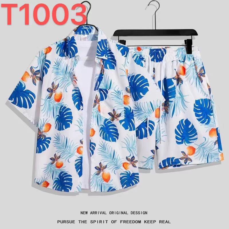 T1003
