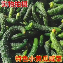 【特价】正宗小黄瓜咸菜鲜脆可口特色小咸菜黄瓜咸菜山东特产即食