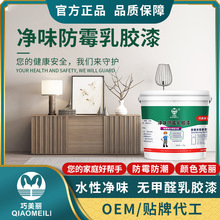 巧美丽净味防霉高遮盖乳胶漆家用涂料内墙漆白色墙面涂刷修补漆