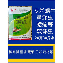 ��΁ţ��ș���ݱ����xș���@��΁ţ����ľ���ȩ���F�rș