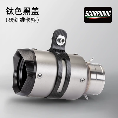 Motorcycle modified titanium alloy Exhaust pipe - ar-titanium-tip-60mm-diameter-carbon-fiber-clamp