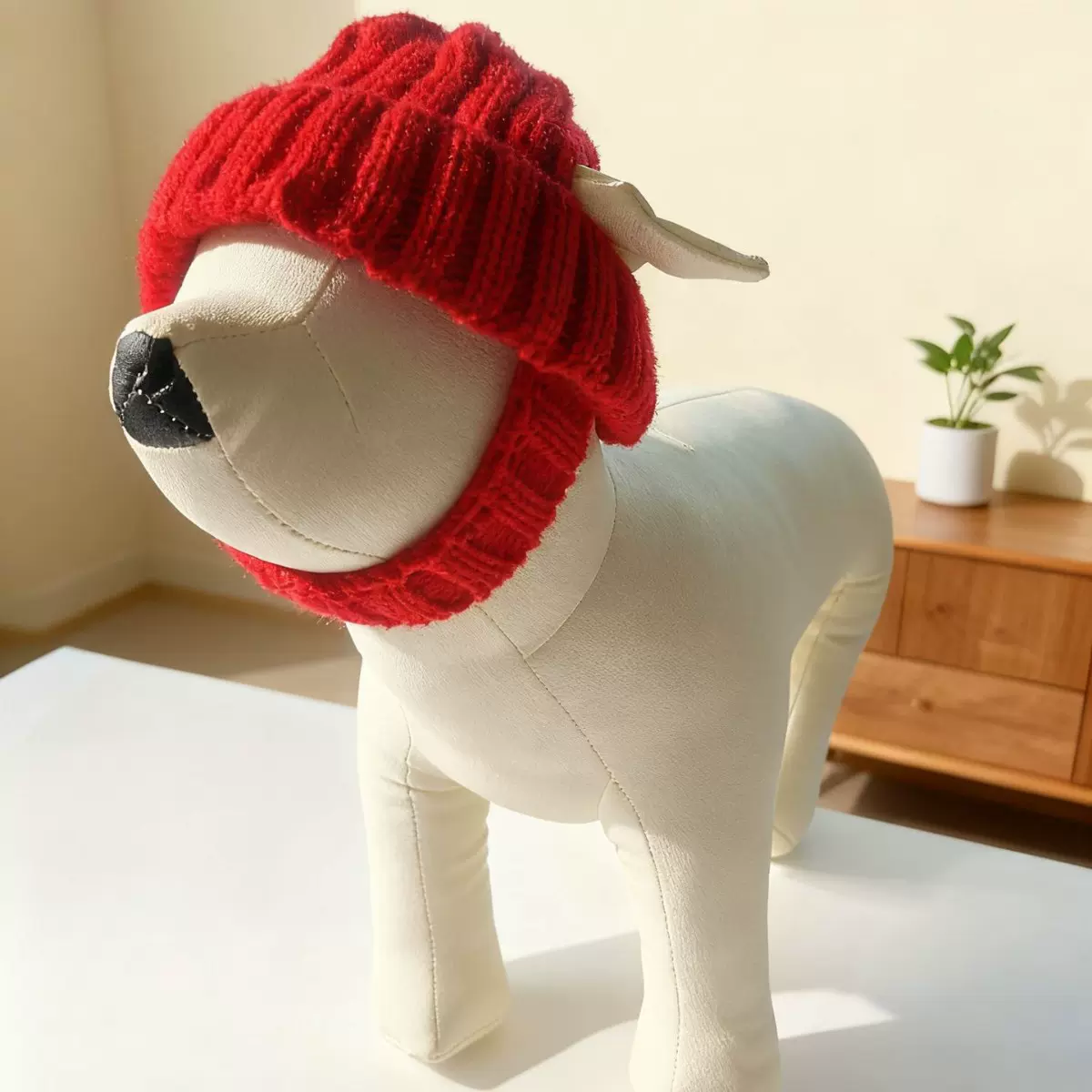 宠物新年针织毛线帽小灵缇短毛无毛猫咪小狗犬保暖冬季露耳朵头套