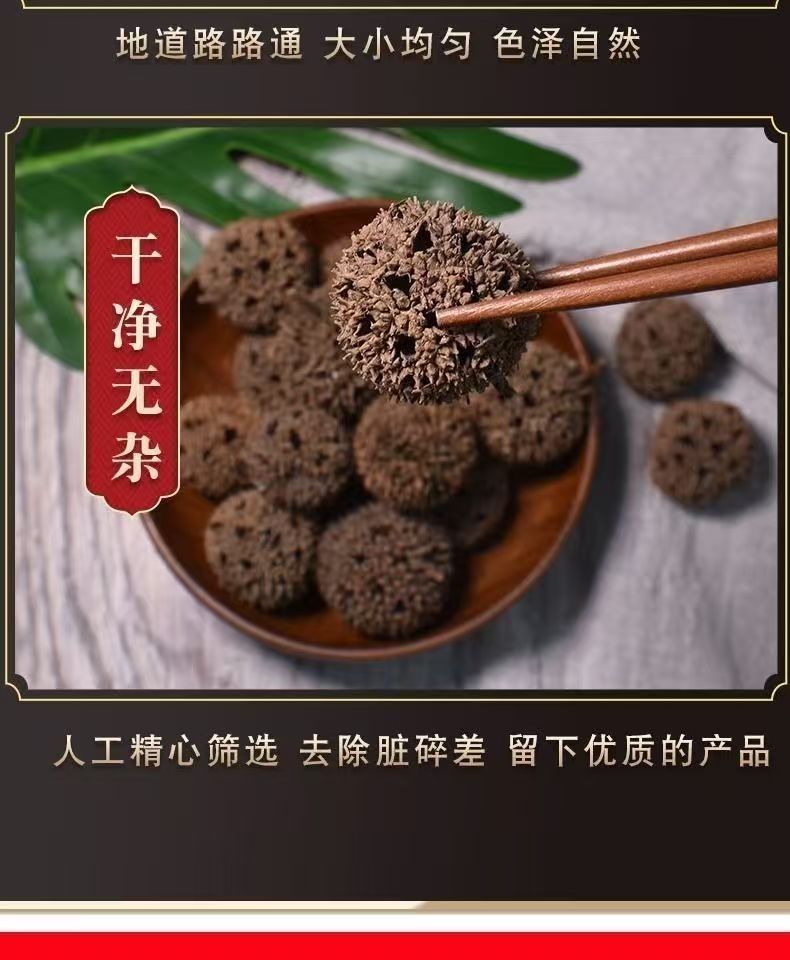 Lulu Tong Sweetgum Fruit 100g Jar Dried Lu Lu Tong Herb for Decoction and Culinary Use in use