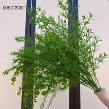 ����Gֲɭϵ�Gɫϵ�廨�쾰���滨�J���������Y���û�ˇ�b�