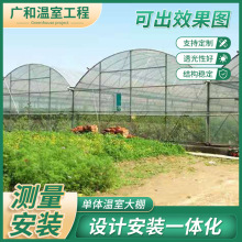 简易抗风外遮阳连体大棚骨架玻璃温室连栋蔬菜连栋热镀锌薄膜大棚