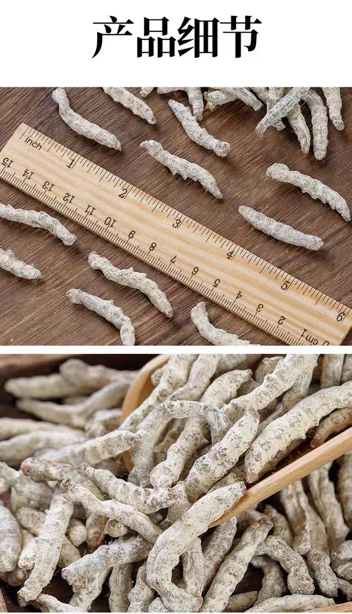 Bai Jiang Can (Bombyx Batryticatus) — Stir-Fried Silkworm Herb, 500g Food-Herb Decoction Pieces in use