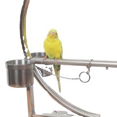 Parrot bird stand cage parrot stand frame stainless steel cockatiel large parrot birdcage stand frame foot chain perch