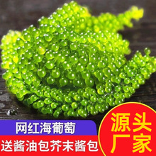 �W�t�������ݰl��ʳ�}�n�����ѾGɫ�~���u�����߲��ͽ�ĩ�u�����l