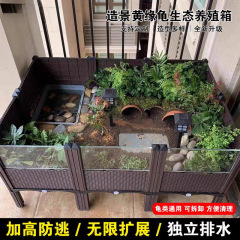 龟专用饲养箱陆龟半水龟缸生态造景箱 安缘台缘养殖箱