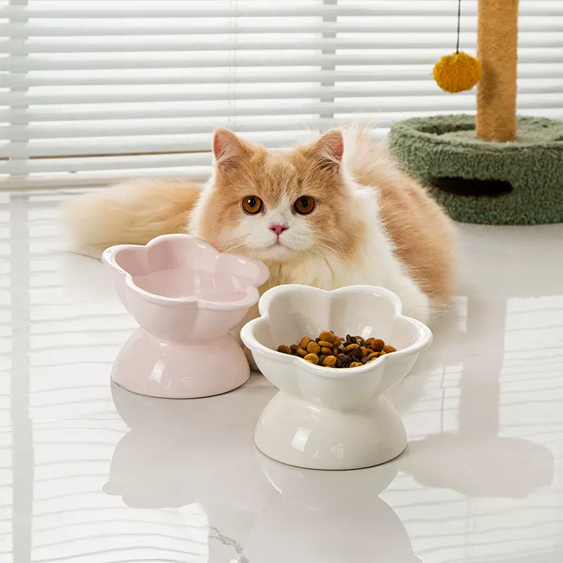 陶瓷猫碗防打翻大口径猫咪水碗高脚斜口猫咪饭碗防黑下巴食盆饭碗