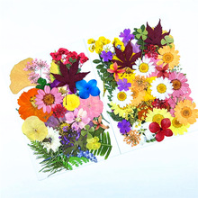 干花包压花　花叶组合包 植物押花压花包   真花真树叶标本贴画