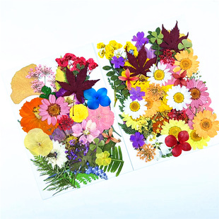Dried Flower Bag Embossed Flower and Leaf Combination Bag Plant Embossed Flower Bag Real Flower Real Leaf Specimen Sticker