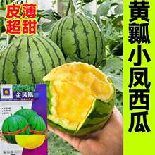 ��С�P���ϷN�Ӹ߮a���P���S�����ϷN�ѳ�������С���ϴ���������