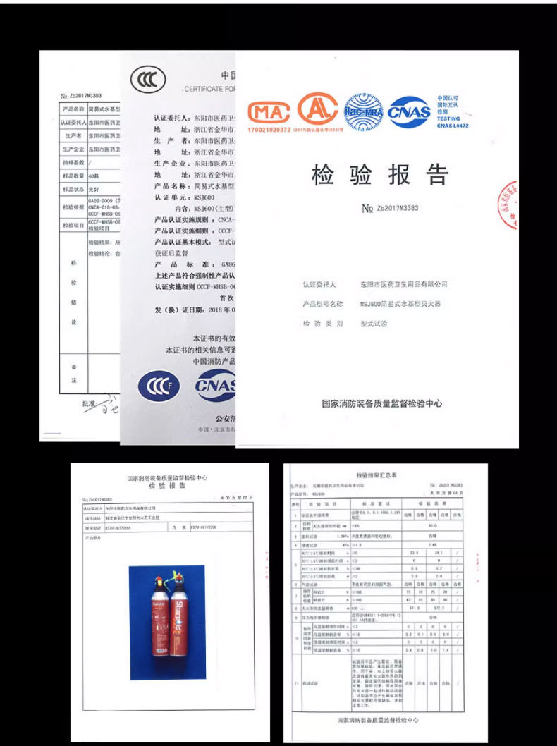 Vehicle-Mounted Water-Based Fire Extinguisher for Private Cars, Household Portable Small 21B Car Annual Inspection Fire Equipment