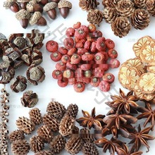 diyɹľƬ~ɻɹM}Qb׃@b[͹ŵ