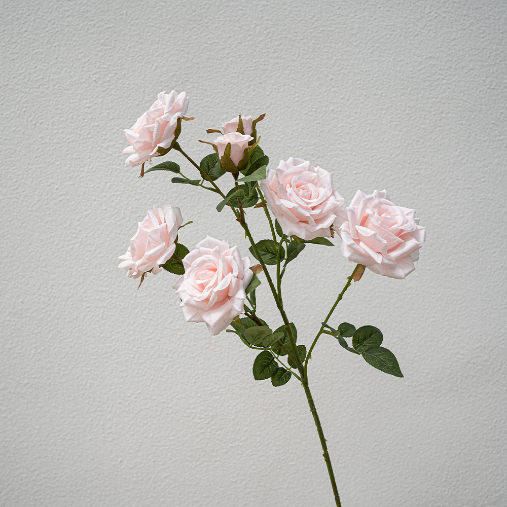 Pink Seven Head Diamond Rose