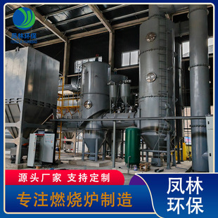Large Energy-Saving and Environmentally Friendly Incinerator Farm Waste High Temperature Thermal Incinerator 100kg Garbage Incinerator