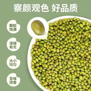 �|���G�������b���r�r�ҿɰlѿ�Z���w��M���Ƥ���s�Z500g��ѿ
