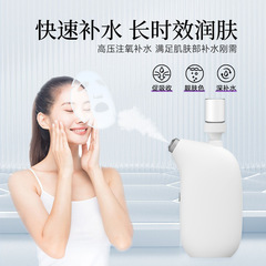 酸素注入器 ハンドヘルド 家庭用スプレー機 水分補給 保湿 美容機器 フェイシャルエッセンス導入 水酸素器 冷スプレー