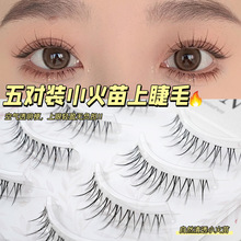 С�����Ͻ�ë��Ȼ�ٽ�ë�w�L�����ֹ�5��һƬʽ͸���������۽�ë