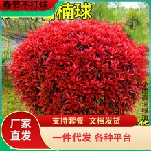 һlt~ʯߗUСͥԺ@־GGhļ