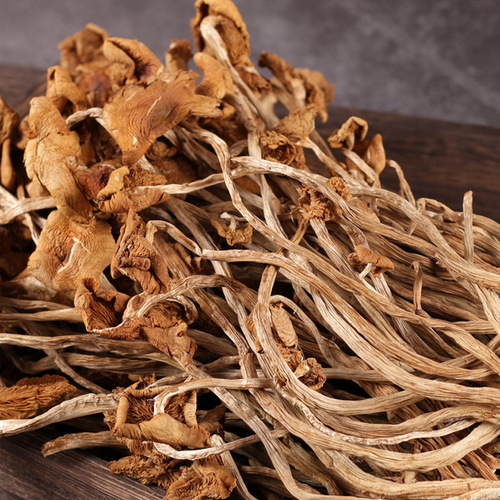 Dry goods do not open umbrellas. Fujian Gutian Tea Tree Mushrooms dry goods wholesale open umbrella Tea Tree Mushrooms. The tea tree mushrooms manufacturer supports drop shipping of tea tree mushrooms.