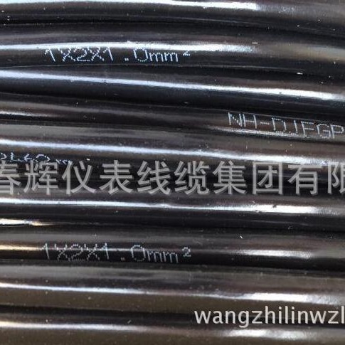 耐火氟塑料绝缘铜带屏蔽硅橡胶护套计算机电缆NH-DJFGP2FP2