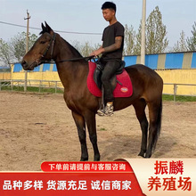 ���a���R���w�������㰫�R�����R����Ӱҕ���^���w�R���@�T���R