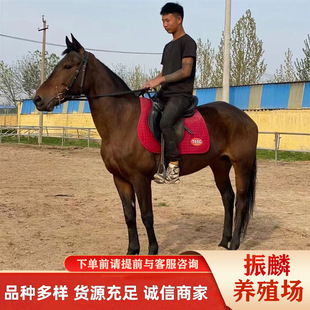 ���a���R���w�������㰫�R�����R����Ӱҕ���^���w�R���@�T���R