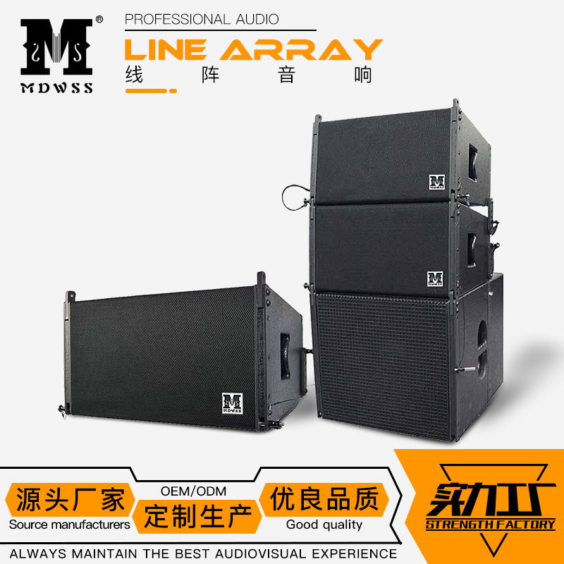 Fabricante de suministro TWVR10 10 pulgadas altavoces de matriz lineal matriz de sonido profesional escenario al aire libre altavoces de matriz lineal