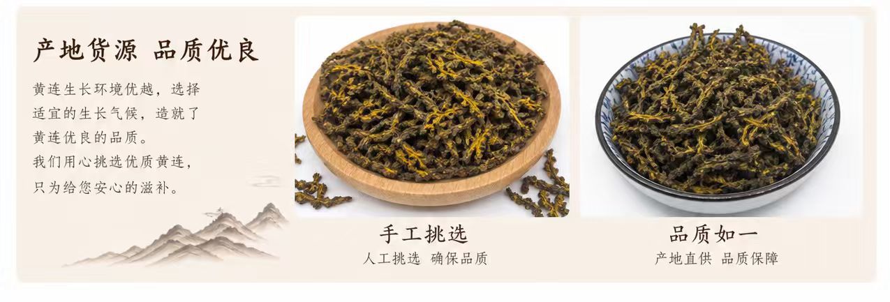 Sichuan Coptis Root Huang Lian Dried Chinese Herb Clean Raw Material 1000g Bag key features