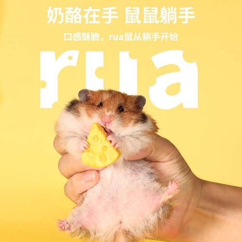 Bukaxing Squirrel Snack Freeze-dried Cheese Chewing Biscuit Honeycomb Golden Bear Food Weight Gain Nutritional Calcium Supplement