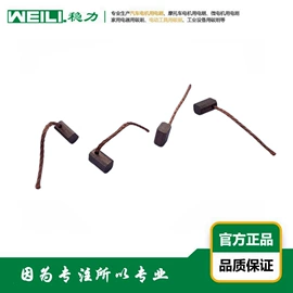 碳刷、电刷;电动机配件