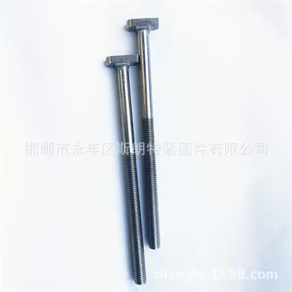 Din7992T Type Bolt with Hole T-Type Screw T-Shaped Bolt T-Shaped Screw Curtain Wall Wire Curtain Wall Bolt