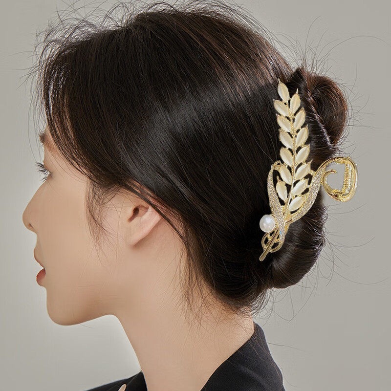 IMG_3419(20241013-124708)