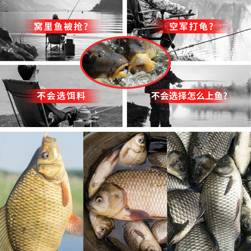 DMPT pescar medicina de pozo negro, polvo salvaje, polvo de fresa, cebo de peces de agua dulce, aditivo de señuelo de peces