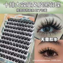 免胶大容量黑雨蝶假睫毛漫画款分段式柔软自然卷翘假睫毛适合新手