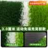 3.0 cm, no filling type [Sports grass]