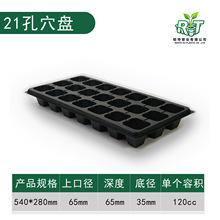 21��Ѩ�����бP����Ѩ�P�o��ƽ�P����������������N�P�߲�����P