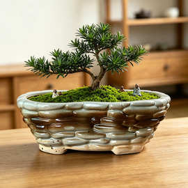 陶瓷花盆陶瓷花器桌面盆栽花钵室内居家点缀陈设用具工厂直售