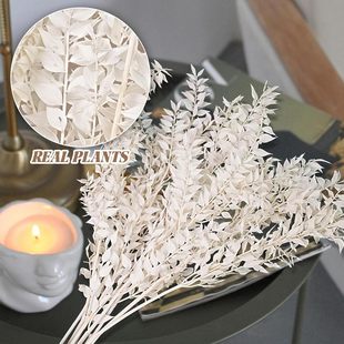 �羳���uƯ�׸��F�~�������ɻ�diy���ϻ�Y��ˇ���Ք[�����S���l