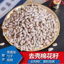 ɽ| ޻   ޻N ޻ӷN ȥ