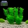 20cm high cress [two]