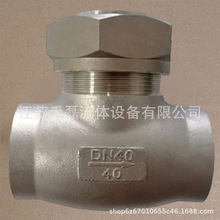 �͜غ���ֹ���yDH61F�͜�196���P�304CF8PN40DN40Һ�嵪������̼