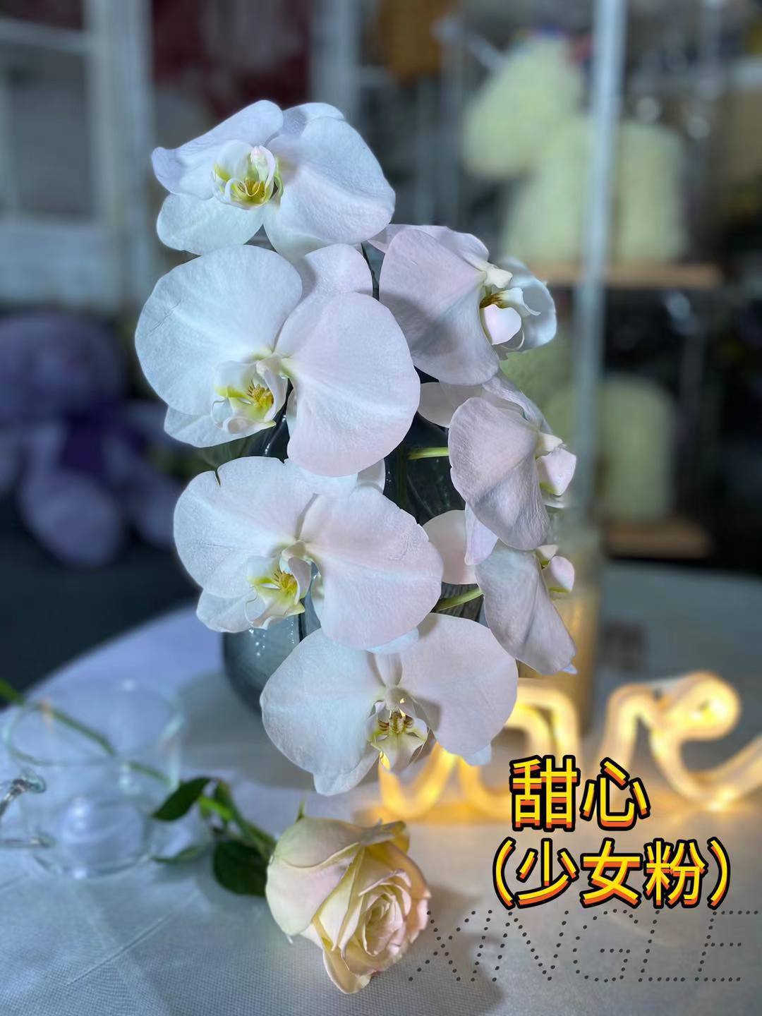 가리 핑크(스윗하트)